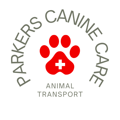 Canine transport cheap